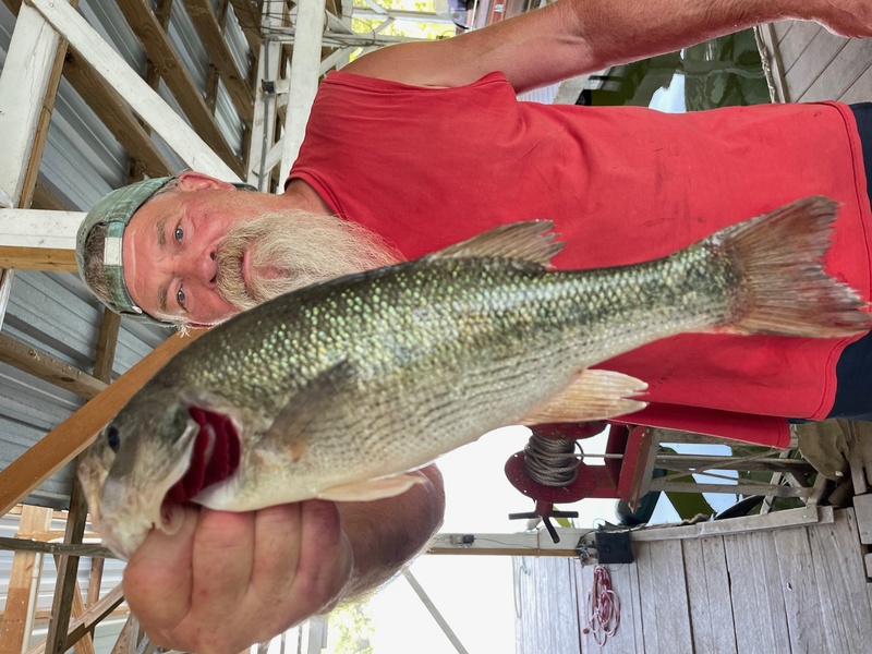 John Bornhop from St.Charles, Missouri with a nice one 