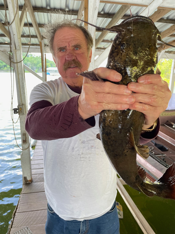 Scuba Steve likes those Catfish and knows how to catch them. 