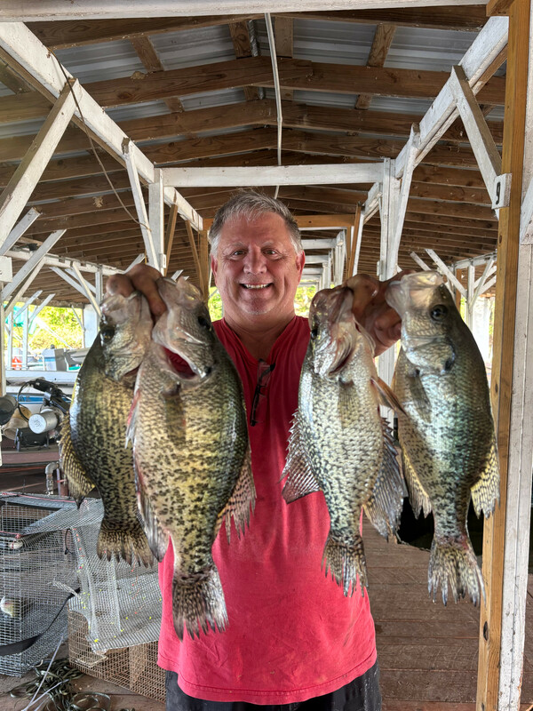 Fisherman Mike with some Nice Norfork lake Crappie here at Blackburns Resort and Boat Rental.