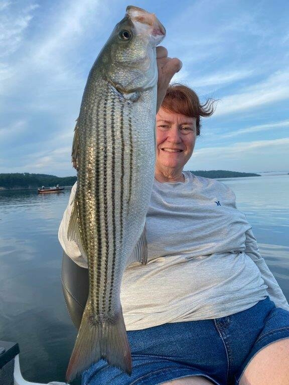 Caught fishing with Bink's Guide Service on the Bink's Jigging Spoon while staying at Blackburns Resort and Boat Rental on Norfork Lake. 