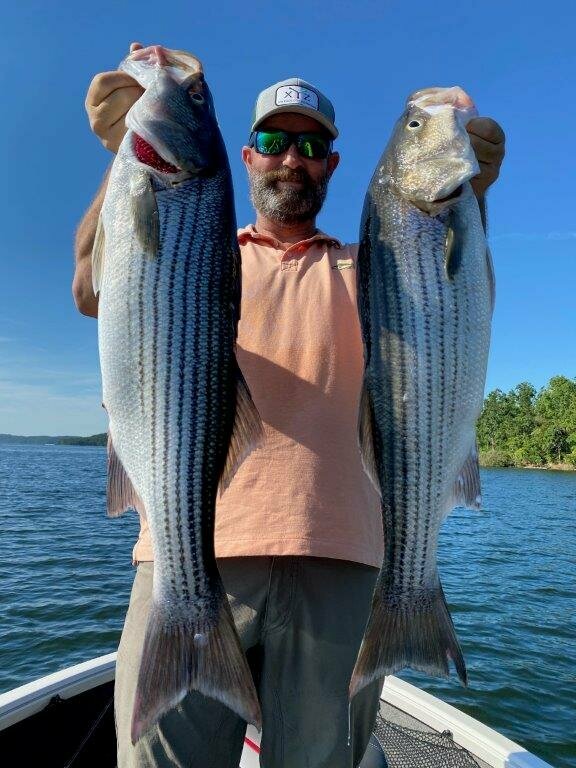 Caught fishing with Bink's Guide Service on the Many Shad jigging Spoon. 870-492-5115