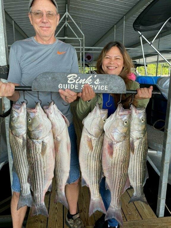 Norfork Lake Striper fishing on the Bink's Many Shad Spoon. 