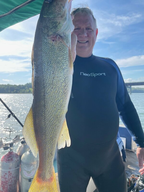 Fisherman Mike with another good one Diving Norfork Lake out of Blackburns Resort and Boat Rental. 