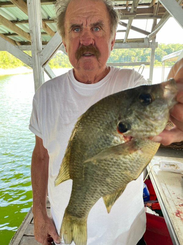 Take home made bread with butter, a slice of onion, a split yellow banana pepper, black pepper and Scuba Steve's special beer batter on two fillets and have the best sammich of your life. Red Ear Bluegill are the best. 