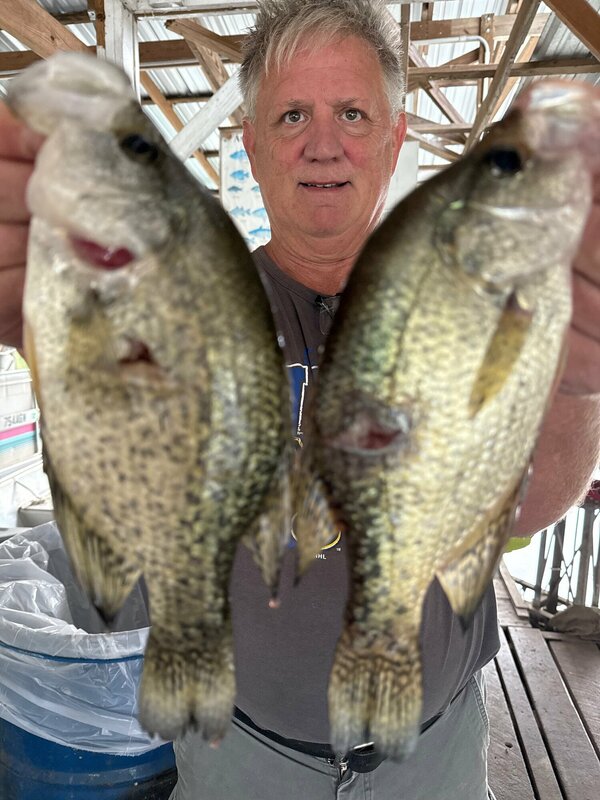 Fisherman Mike with a couple of Norfork Lake Crappie Diving Scuba Steve's Brush Piles. 