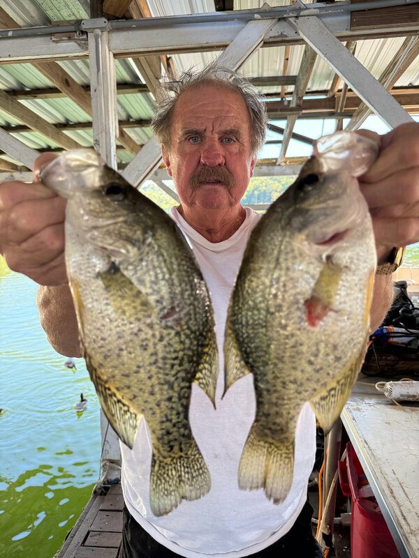 Scuba Steve with a couple of nice Norfork lake Crappie diving his brush piles. Diving Conditions will get better now the holiday is over. 
