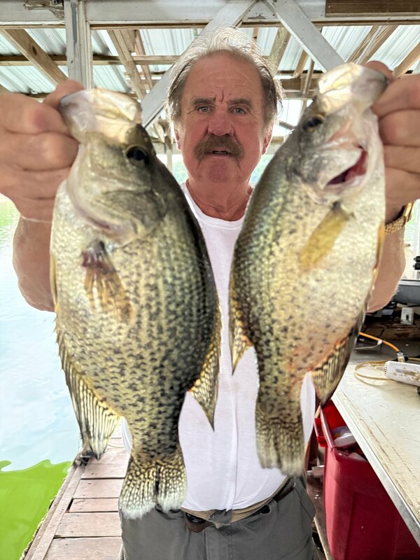 Scuba Steve with a couple of nice ones caught on his new brush pile. He will show you where when you get here. Now he is off Scuba Diving. Wish you were here. The weather is beautiful. 