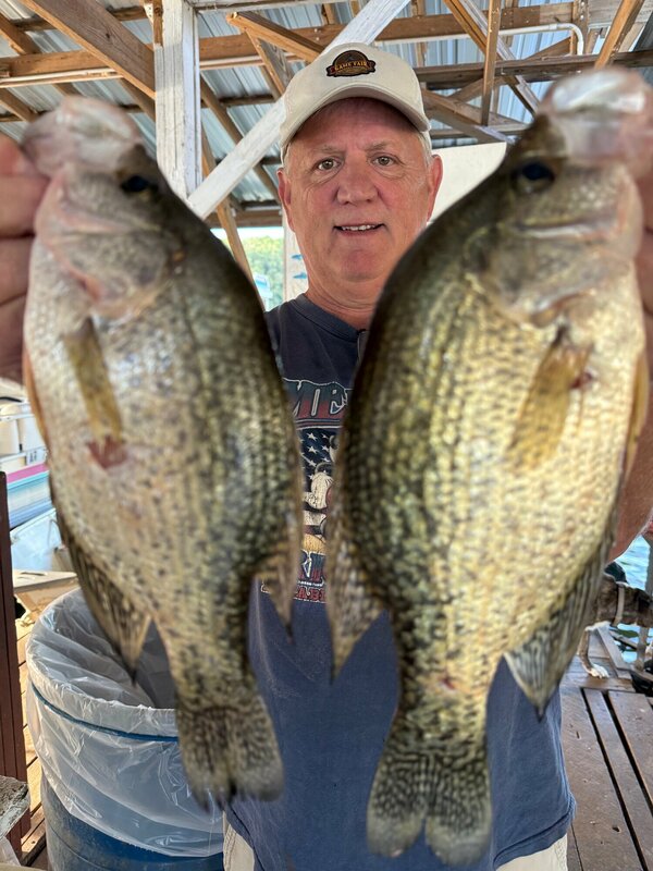 Fisherman Mike with some nice Norfork lake crappie fishing Blackburns Resort and Boat Rental's Brush piles. Scuba Steve will show you where when you get here. 