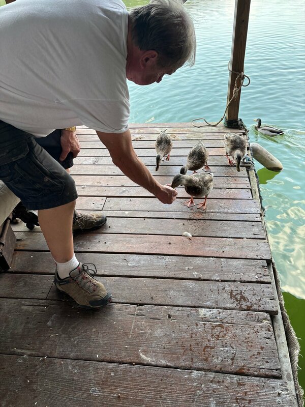 Scuba Steve feeding his friends. They like him for some unknown reason. 