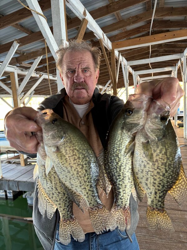 Do Scuba Steve catch Fish every day? Yes he do. Do he put in good brush piles every year? Yes he do. Will he show you where when you get here? Yes he will and will not charge you too much. 