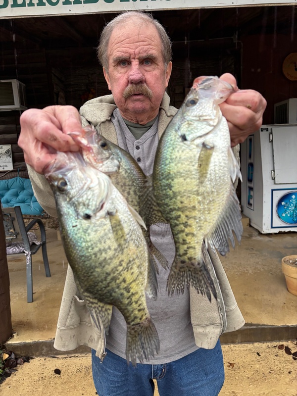 Scuba Steve with some nice Norfork lake Crappie released in Tom Kelly's trophy pond yesterday.It is ready for spring.  