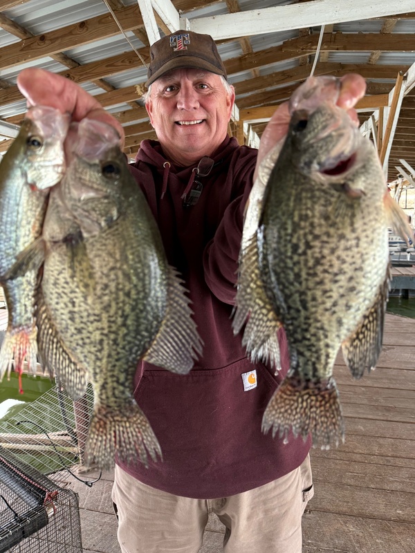 Fisherman Mike with some nice Norfork Lake Crappie fishing Scuba Steve's Brush piles. 
