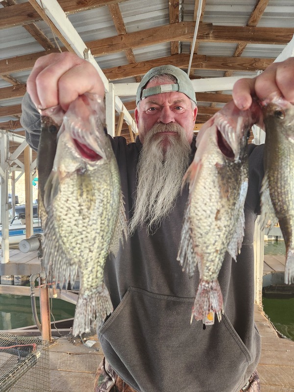John Bornhop caught some nice ones off Scuba Steve's Brush Piles. 