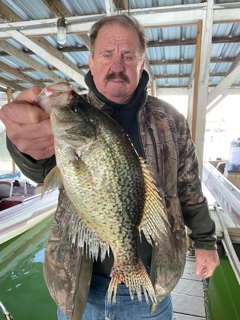 Scuba Steve with the fish of the day here at Blackburns Resort and Boat Rental on Norfork lake. He likes these.