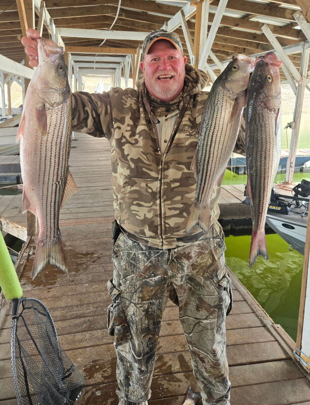 Wayne Walker with some nice Norfork Lake Stripers. 