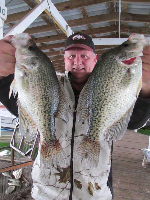 Fisherman Mike with a couple of Norfork Lake winter Crappie caught off Scuba Steve's brush Piles. He will show you where when you get here. He has some good ones. 