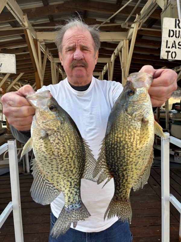 Scuba Steve with a couple of Norfork lake Crappie caught off his brush piles. 