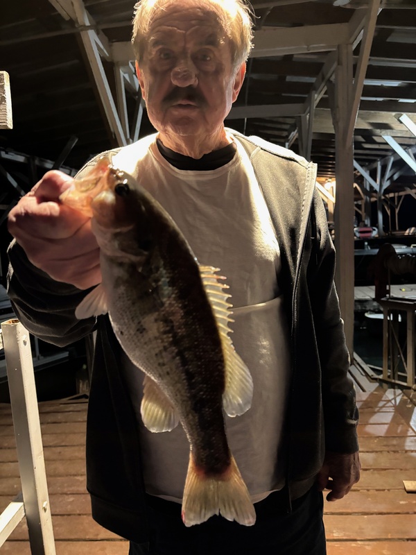 Scuba Steve says Black Bass Fishing is improving. 