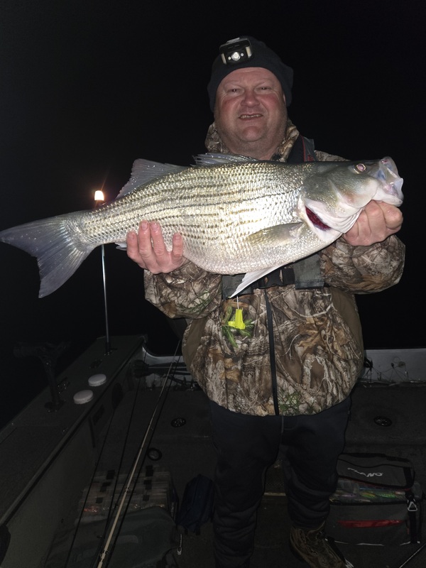 The night bite was on a few days ago but has slowed greatly. 