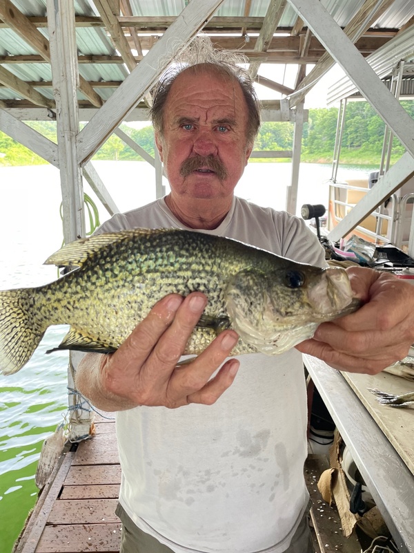 Scuba Steve with his fish of the day. Released under the dock with several more. This is a good time for a visit and the price is right. 