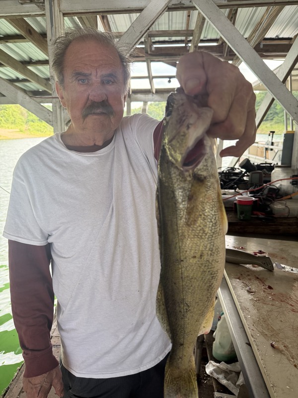 Scuba Steve likes Norfork lake Walleye and there are more of them than ever. 