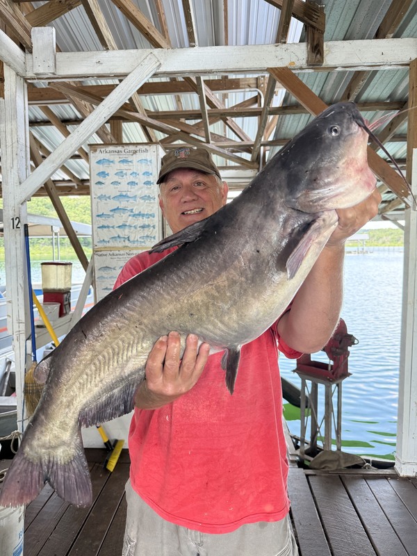 Big Fish at Blackburns Resort and Boat Bental. 