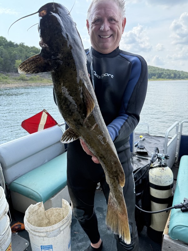 Fisherman Mike with a nice one diving Scuba Steve's brush piles on Norfork Lake close to the resort. 