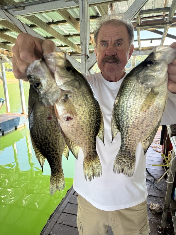 Scuba Steve with some nice Norfork Lake crappie diving out of Blackburns Resort and Boat Rental. Come on down. 