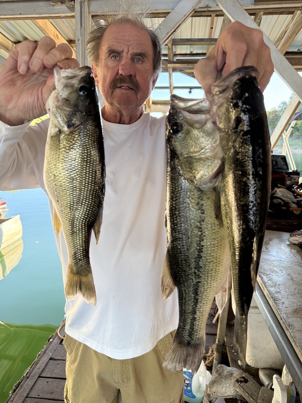 Norfork Lake Bass by Scuba Steve from Blackburns Resort and Boat Rental. Yes. He knows where they are. 
