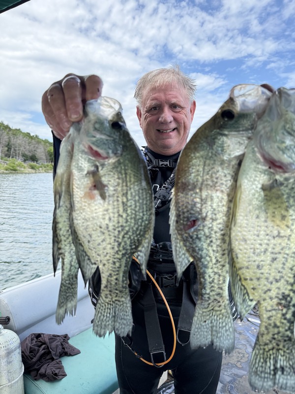 Scuba Conditions remain excellent here at Blackburns with good visibility and 81-degree water. 